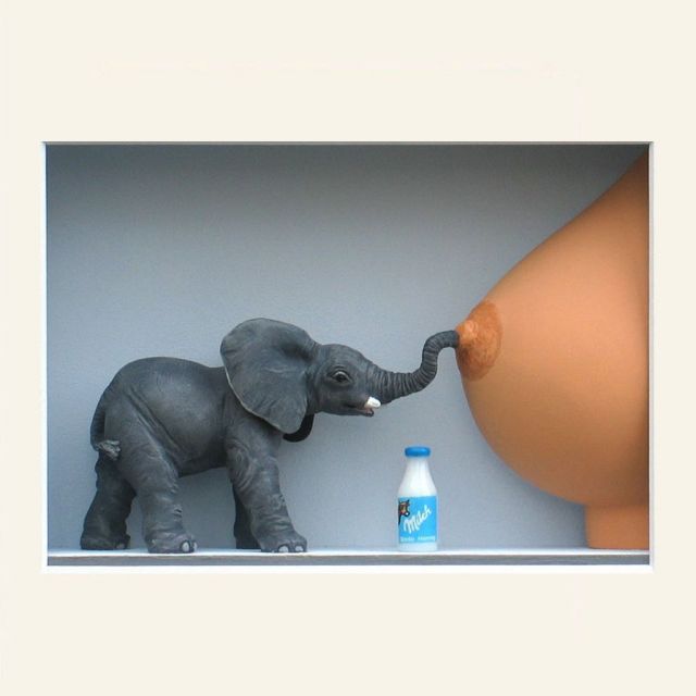 Three-dimensional Painting -  No Contempt | Giobagnara Il Prato Venezia