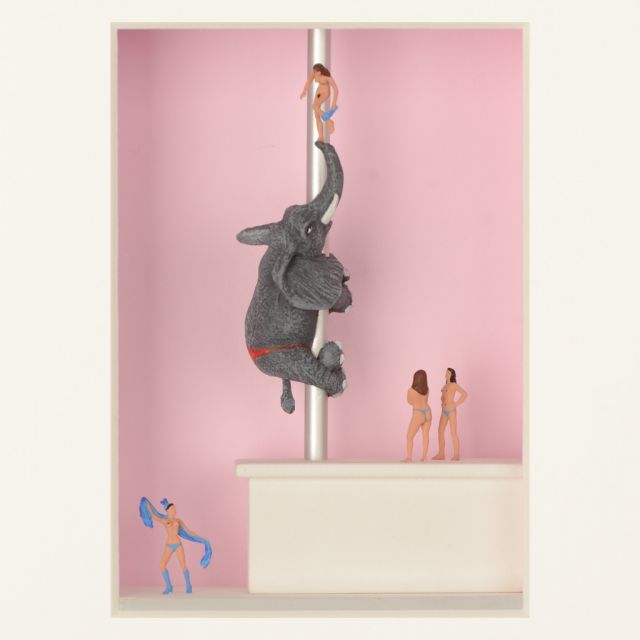 Three-dimensional Painting -TABLE DANCE | Giobagnara Il Prato Venezia