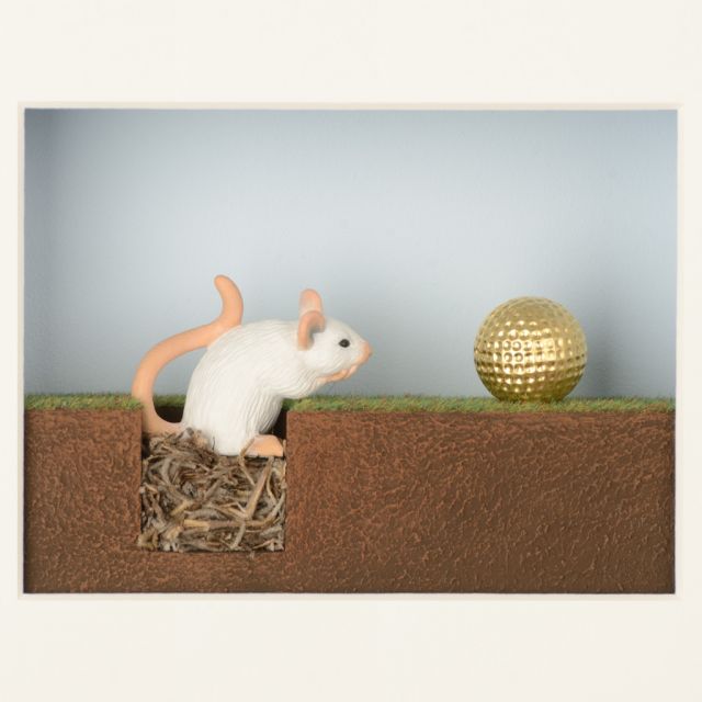 Three-dimensional Painting - MOUSE HOLE | Giobagnara Il Prato Venezia